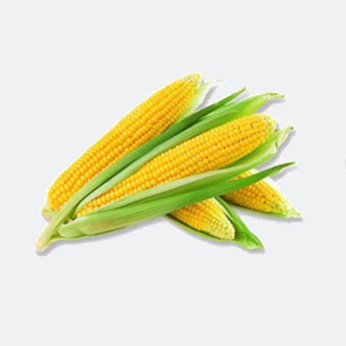 Биоразлагаемая упаковка